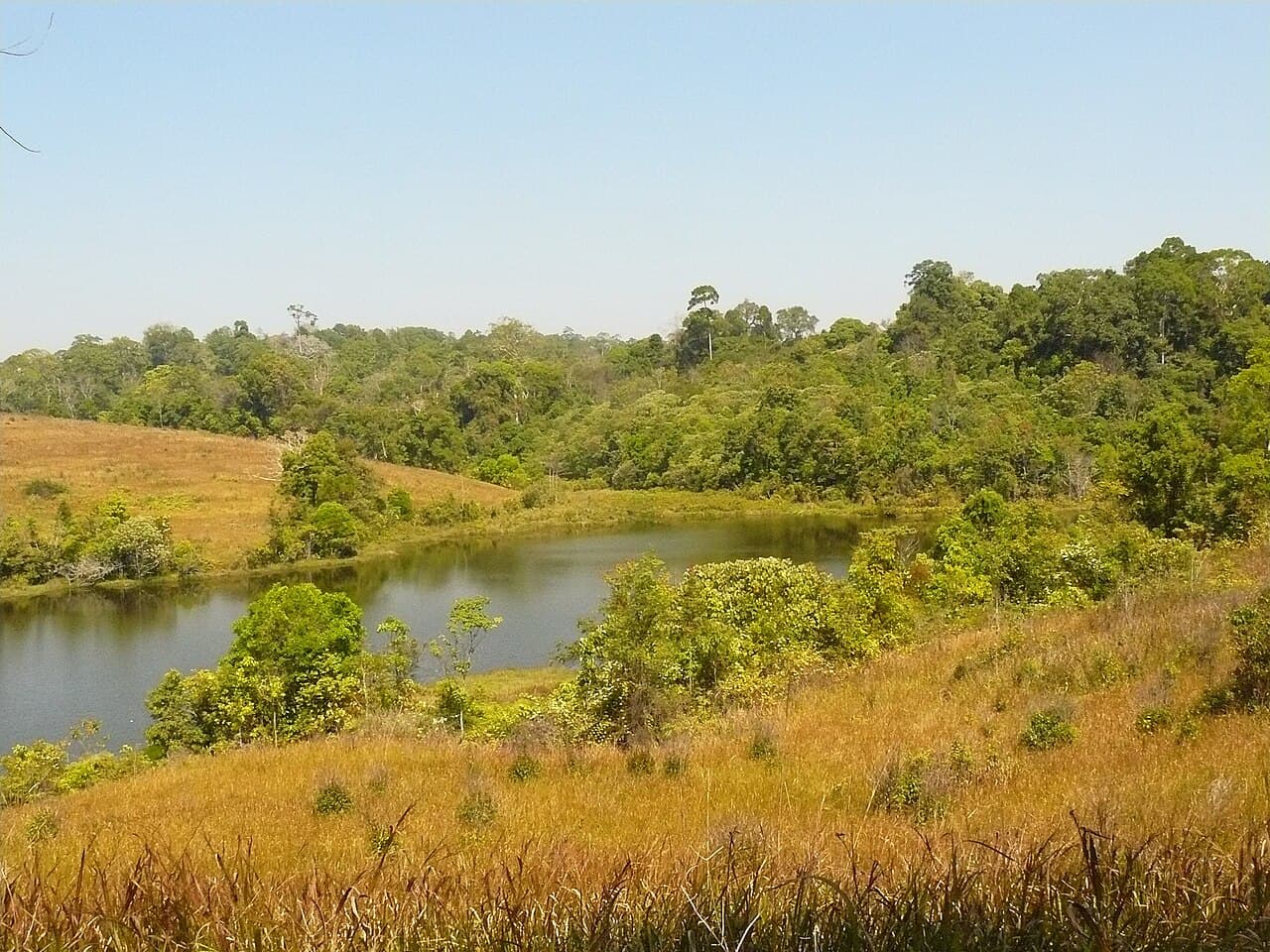 Landscape in Khao Yai National Park, Thailand.